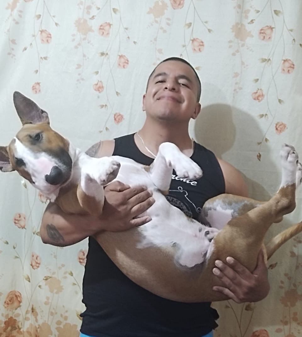 Testimonio paciente veterinario Rayo